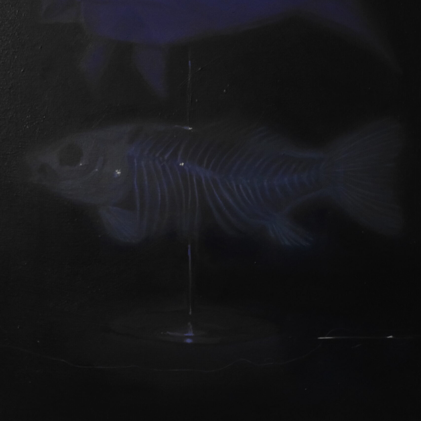 DSCF2954